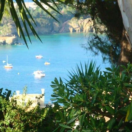 Endless Blue Villa - Amazing Sea View 阿齐亚·佩拉加 外观 照片